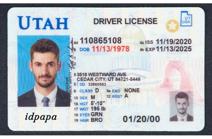 Unlocking the Secrets Behind Real ID Pictures