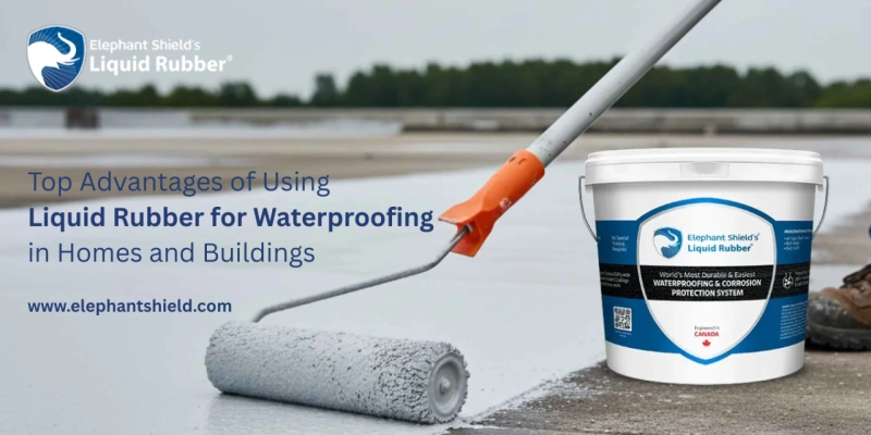Top Advantages of Using Liquid Rubber for Waterproofing in Homes and Buildings
