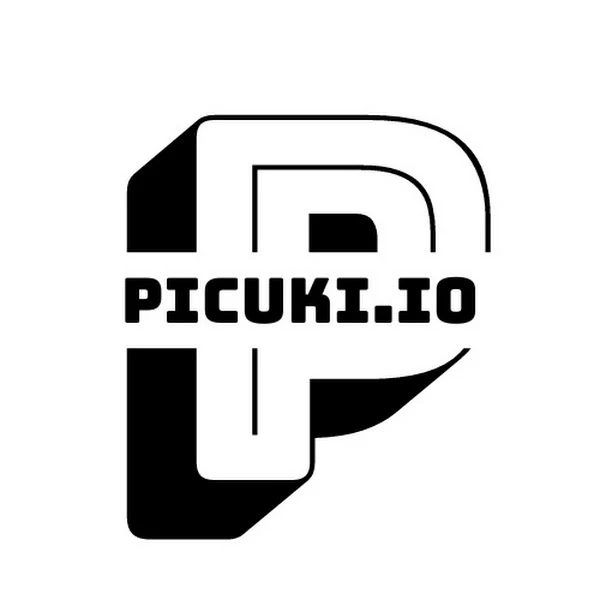 Picuki's Video Download Feature: A Guide for Instagram Users