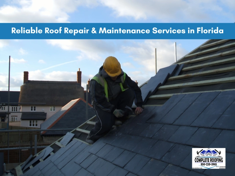 How Florida Homeowners Can Choose the Right Roofing Company for Every Need