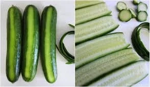Growing Cucumber: Important Information on How to Do it properly