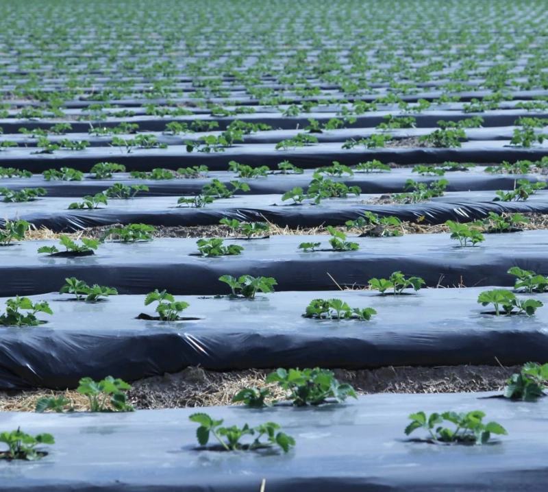 Sustainability of agricultural plastic products