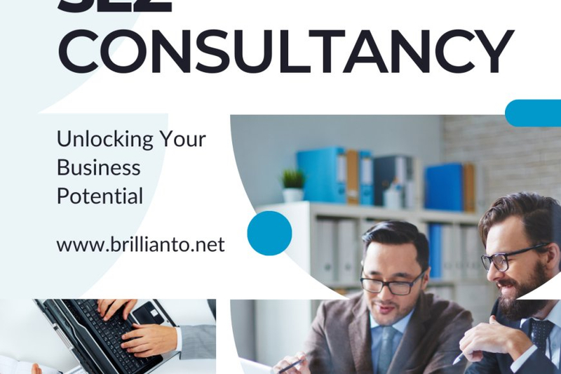The Consultancy Advantage: Enhancing Special Economic Zone Performance