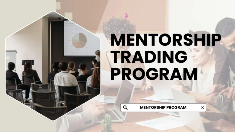 Why is getting mentorship from experts crucial in the stock market?