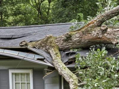 Emergency Storm Damage Restoration: What You Need to Know