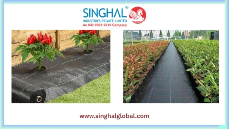 Top 5 Benefits of Using Weed Mat for Weed Control and Soil Health