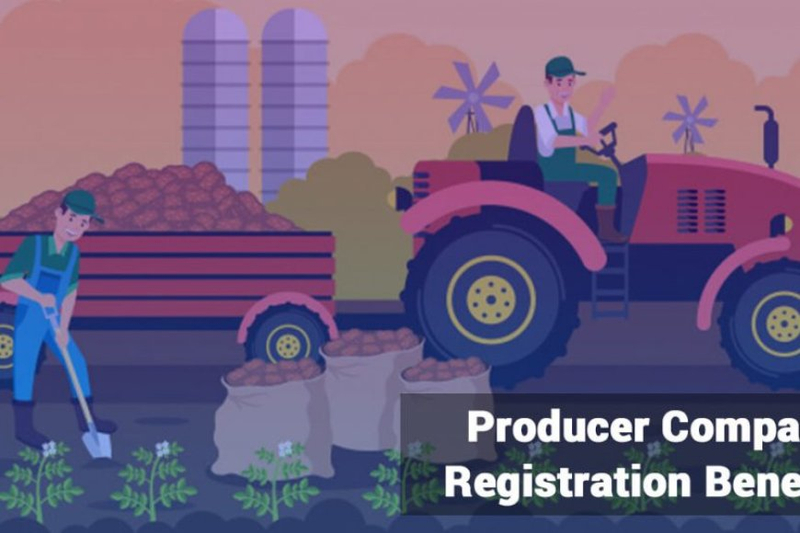 Online Producer Company Registration in India