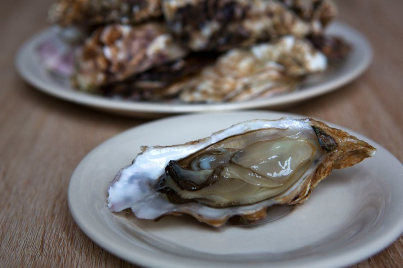 Europe Oyster Market Trends, Share, Size, Growth, Analysis & Report 2024-2032