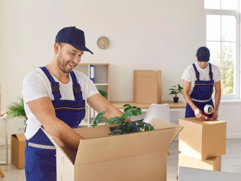 How Melbourne Movers Protect Your Home from Damage During a Move