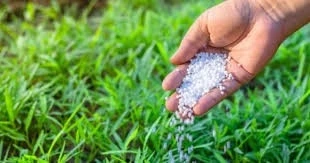 Chitin Fertilizer Market Business Opportunity And Worldwide Scope By Forecast 2021 To 2030