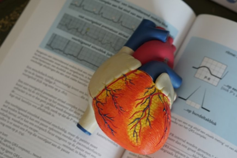 Deciphering the Difference: Heartburn vs. Heart Attack
