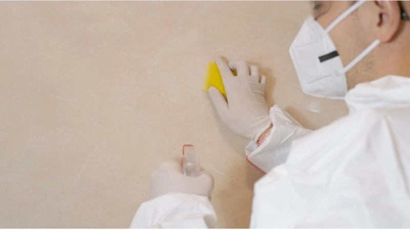 Say Goodbye to Mold: Expert Tips for a Healthier Home