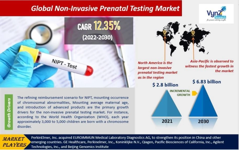 Global Non-Invasive Prenatal Testing Market Size and Revenue Estimation by 2030