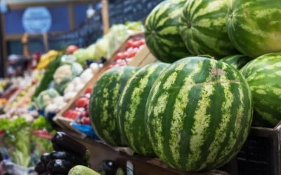 Greek Watermelons Wholesale Supply From Trusted Growers