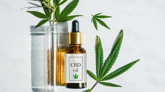 CBD Gummies for Dogs: Unleash The power!
