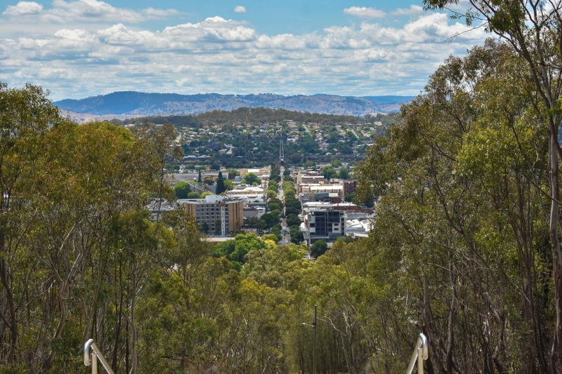 Buyers Agent vs DIY Buying in Wodonga: What We’ve Seen