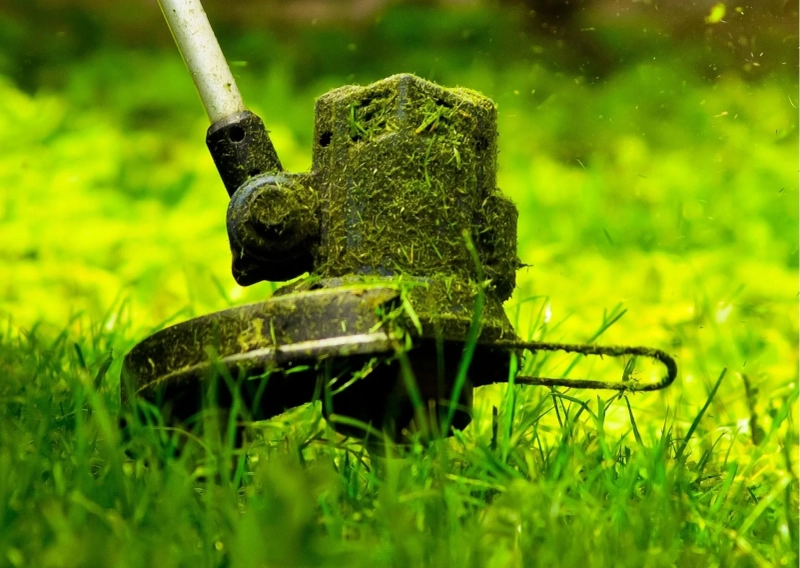 Gardening Tasks to Complete This Spring