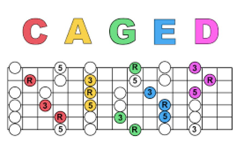 Exploring the Concept of Being Caged: Freedom and Confinement