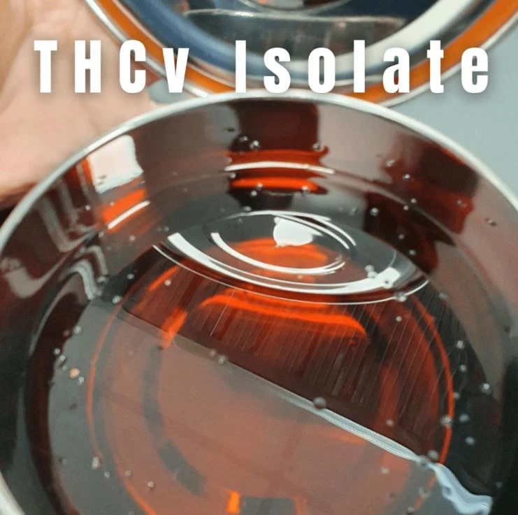 THCV Isolate: The Diet Weed In Purest Form | Bona Voluntate