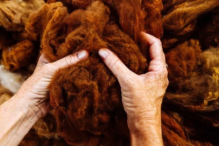 Alpaca Fiber Market Growth, Top Manufacturers, Opportunities and Forecast by 2030