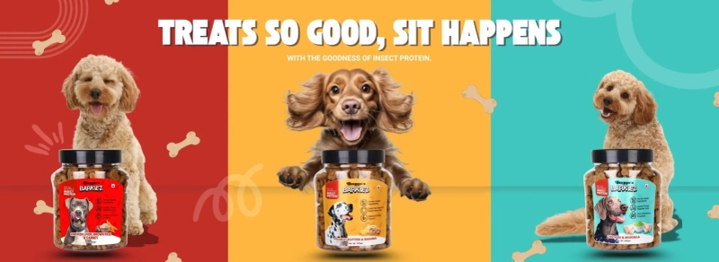 Buy Dog Food Online: A Guide to Healthy Dog Food in India with