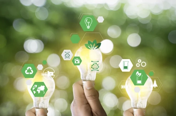 The Future of Business Sustainability: Insights from ClearSky’s Carbon Offset Experts