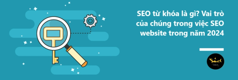 Những thông tin mới nhất về SEO từ khóa bạn cần biết