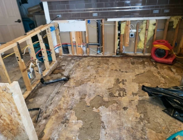 How Water Damage Remediation in Bartow, FL Helps Reduce Waste