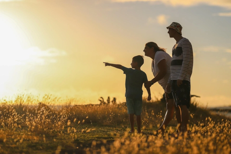 Want to know about a family lawyer: Here are the important things you need to know