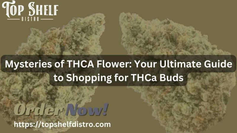 Mysteries of THCA Flower: Your Ultimate Guide to Shopping for THCa Buds
