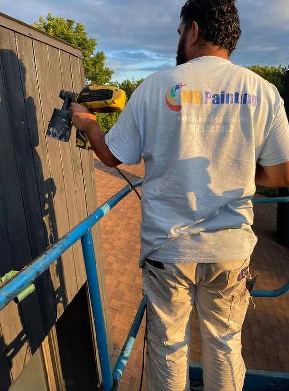 What are the Popular Fence Colors?