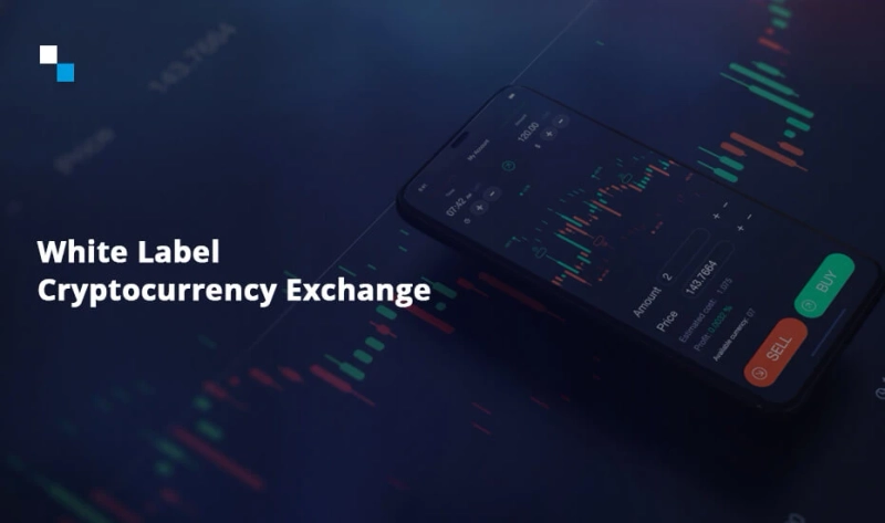 Partner with Antier – Build With White Label Cryptocurrency Exchange