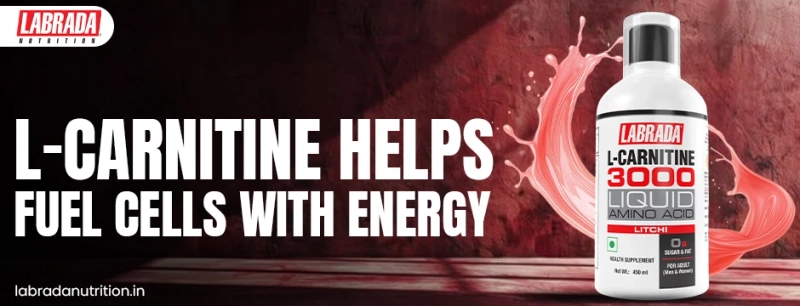 L-Carnitine Liquid Benefits: How It Supports Fitness Goals Alongside the Best Mass Gainers and Weight Gainer Supplements