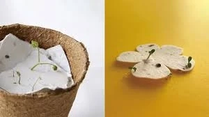 Eco-Friendly Innovation: Plantable Seed Paper Conference Tags By 21 Fools