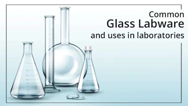 Beaker in Chemistry: Uses, Types, and Benefits
