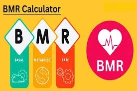 BMR Calculator Gains Traction as Fitness Influencers Promote Metabolism Check