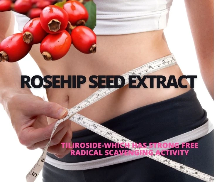 The magical slimming charm of rosehip seed extract!