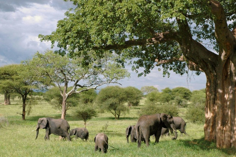 6 of the Best Adventure Travel Destinations to Add to Your Bucket List for 2024