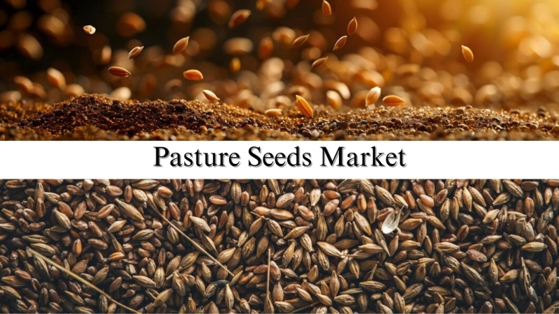 Pasture Seeds Market Size, Share, Growth and Report Forecast Through 2032