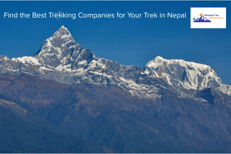 Best Nepal Trekking Companies: An Easy Guide for New Trekkers