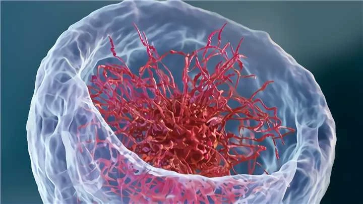 From Colorimetric to Chemiluminescent: The Technological Journey of Immunoassays