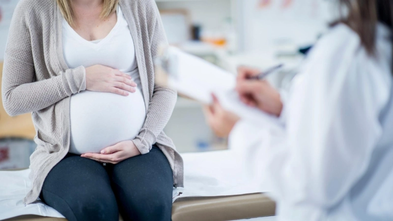 Some queries on the Pregnancy Conception calculator you shouldn't miss to know