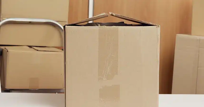 Assemble, Move, Thrive: The Ultimate Guide to Stress-Free Furniture Solutions in NY