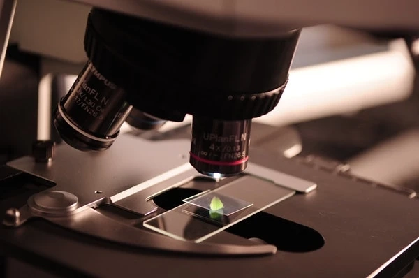 Institutions Worldwide Add Stem Programs for International Students