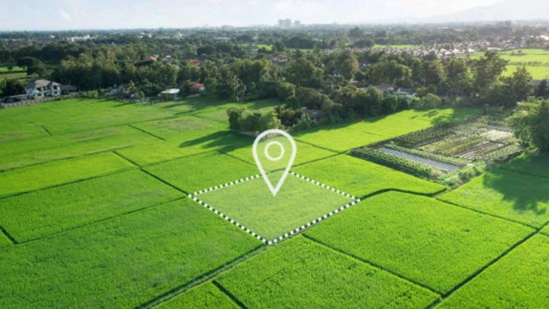 Landlocked and Overgrown? You Can Still Sell Your Vacant Land Fast