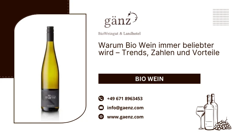 🍷 Warum Bio Wein immer beliebter wird – Trends, Zahlen und Vorteile