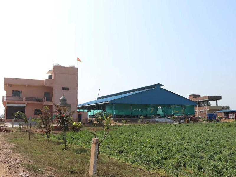 Why Farm-Based Traditional Food Is Gaining Trust in Modern India