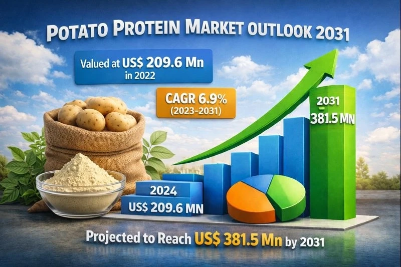 Why Potato Protein Is Becoming a Preferred Choice for Health-Focused Consumers