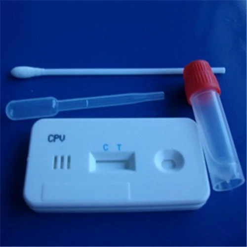 Global Shigella Test Kit Market Is Estimated To Witness High Growth Owing To Increasing Awareness about Foodborne Illnesses