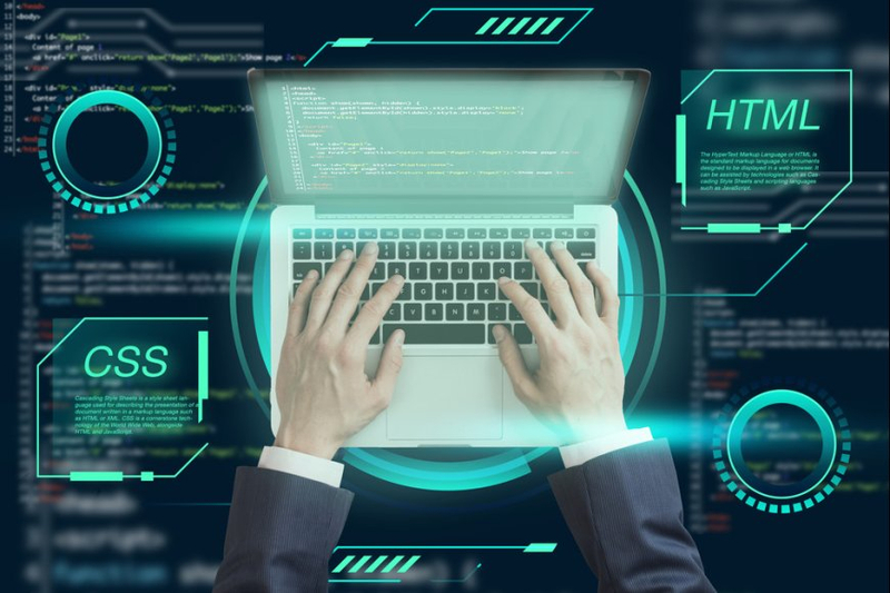 The Essential Guide to Web Development Services